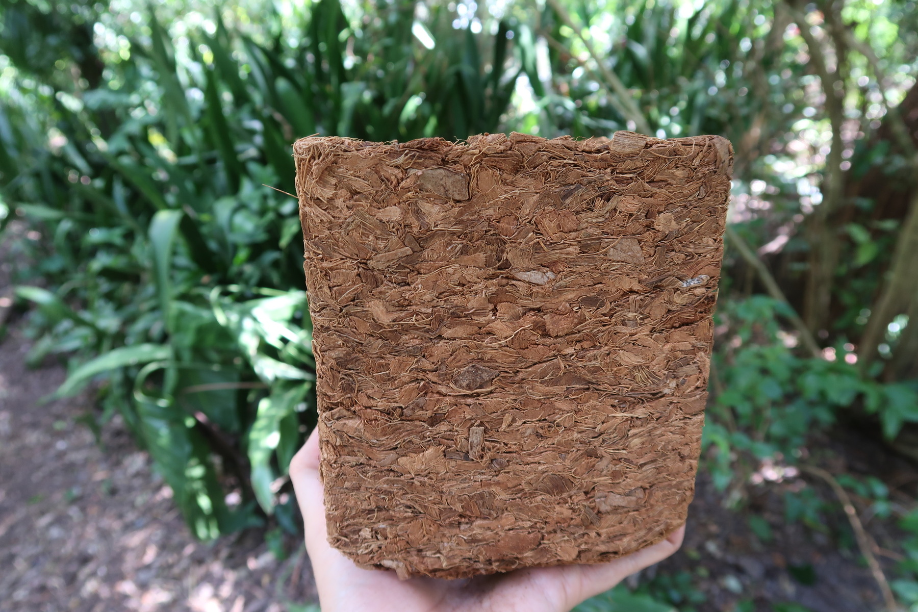 Coconut Coir vs. Peat Moss – Mother Earth News