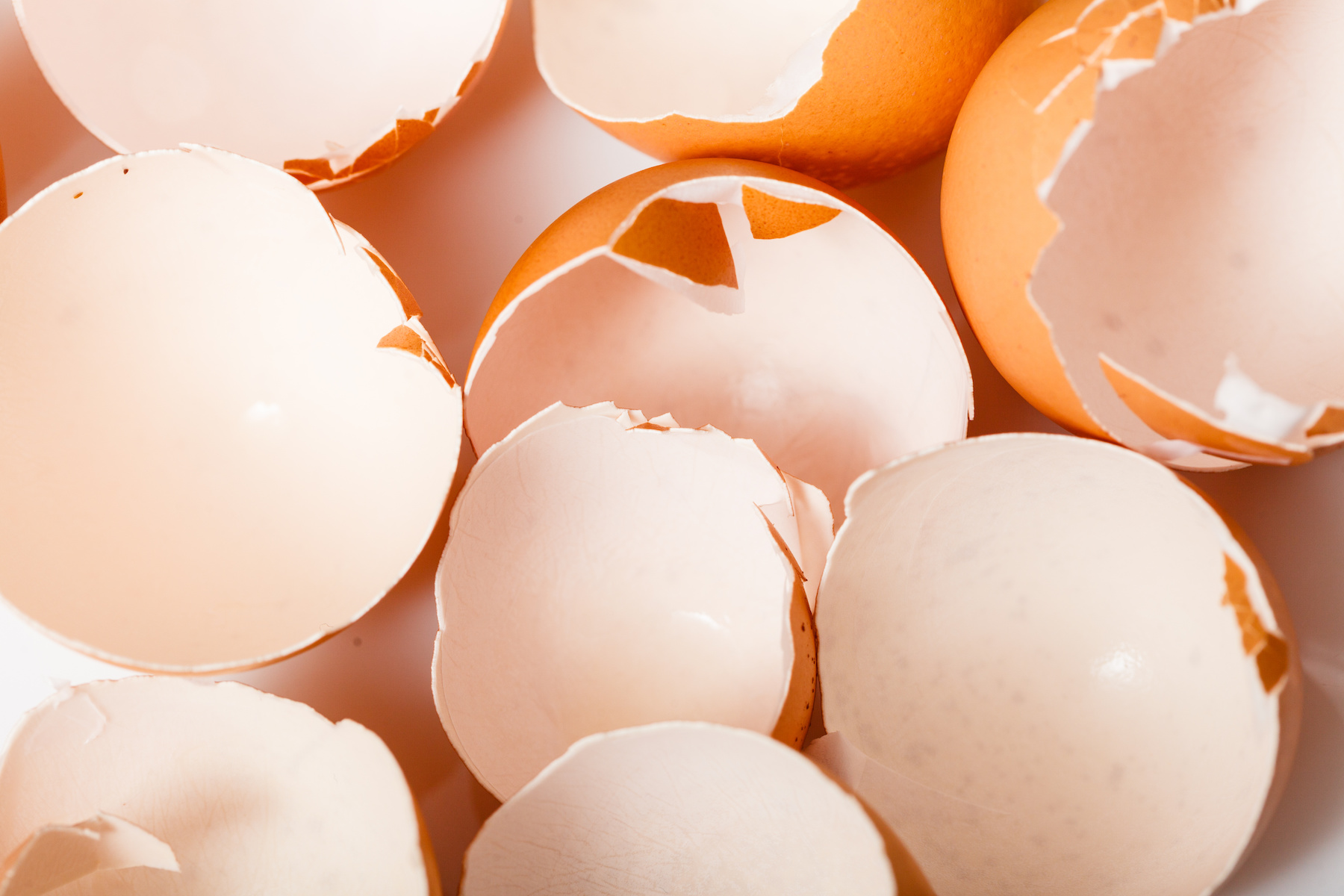 8 Household Uses for Eggshells – Mother Earth News