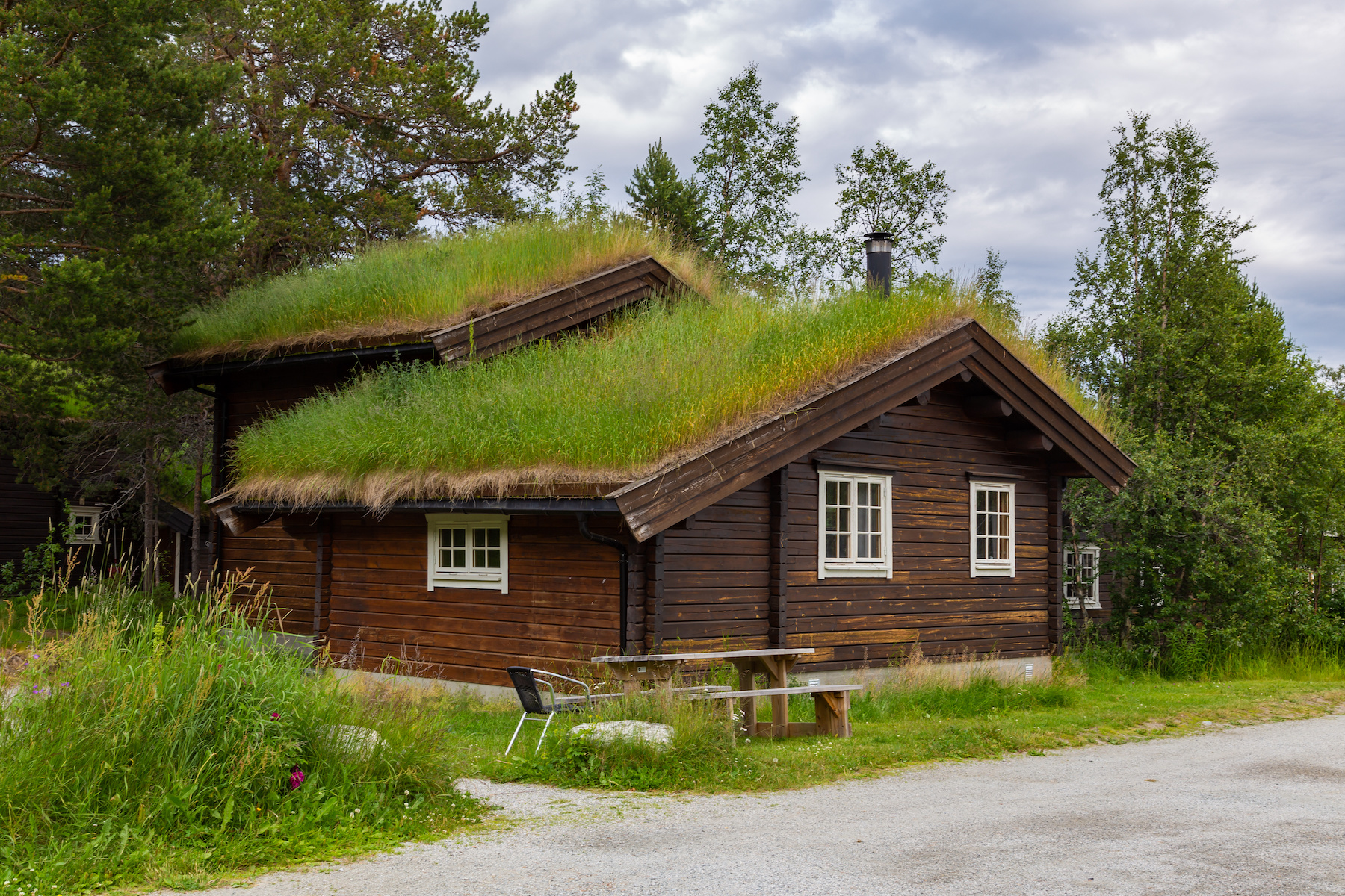 Grow a Residential Green Roof System – Mother Earth News