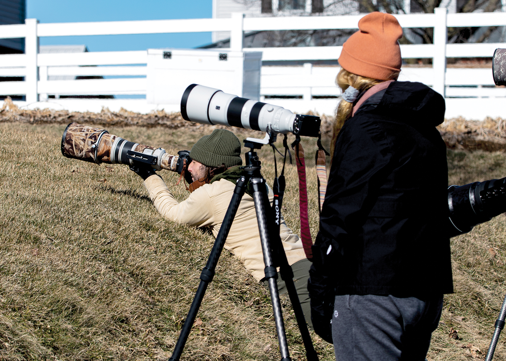 Humane Wildlife Photography Tips
                                        
                                                                                                                                    Andrew Weidman